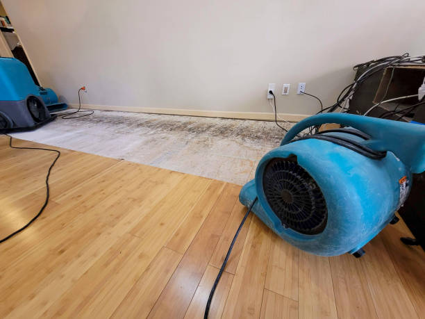 Professional Water Damage Repair technician working in Greens Fork, IN